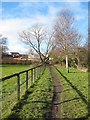 Footpath and open space, Fern Valley, Crook