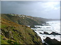 Coastline near Freathy