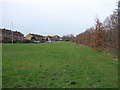 Green corridor between houses and A40