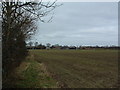 Distant View Of Stonehouse Farm