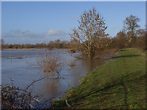 SP7332 : Padbury Brook in flood by Andrew Smith