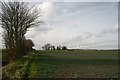 TM0274 : Field boundary near Rickinghall by Bob Jones