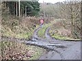 Woodland walk below Northwood House