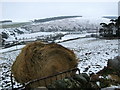 Farm Fields at Cocklaw