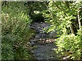 The River Erme from Lower Keaton Bridge