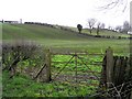 Ballynagarve Townland