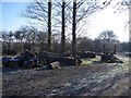 Timber Haulage near Harrold