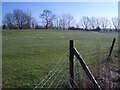 Lavendon Castle Earthworks - III