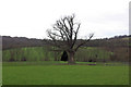 Tree near Sandhurst Farm