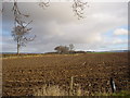 Ploughed field near Kinkell Bridge, Perthshire