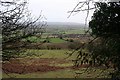 Little Hill from Marcle Hill