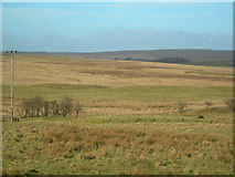 NS6325 : Moorland View by Mary and Angus Hogg