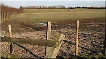 SK4363 : View Over Fields by Alan Walker