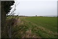 SO6332 : Oldbury Camp, Iron Age Hill Fort by Bob Embleton