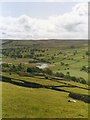 Daleside pastures near Riddings