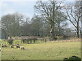 Tower-of-Sark  grave yard