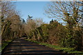 Old road near Tullymurry