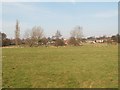 Waveney Meadow