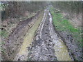 Cranmore Lane (bridleway)