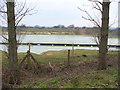 Flooded Sand Pit, Kingsley