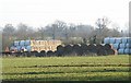 Bales of straw