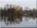 A view across the lake