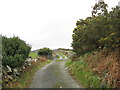 Cattle grid on the lane to Rhydau Duon