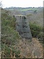 Parts of old mine workings, western Medlyn Moor, Porkellis