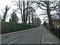 Bush Hill looking towards Green Dragon Lane Junction.