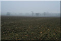 Ploughed field between Old Somerby and Boothby Pagnell