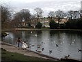 Wibsey Park, Bradford