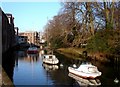 Moorings on River Dart,Totnes