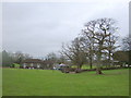 View back from Hill of Country Houses