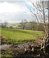 Sheep pasture near Colomendy