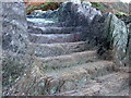 SX4149 : Steps carved out of Rock at Long Cove by BB