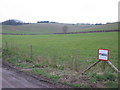 Farmland at Elm Hill