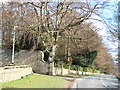 Colepike Hall boundary wall