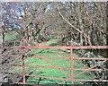 Old gate and disused farmtrack in Chwilog