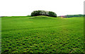 The undulating emerald greenery of Galloway