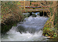 SU4444 : Sluice upstream of the weir at Upper Mill, Longparish by Peter Facey