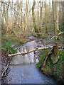 Stream, Keepers Wood