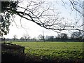 Cheshire farmland