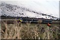 J4791 : Railway Tracks by Wilson Adams