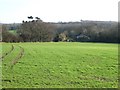 View of farmland