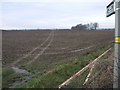 Path to Thoresby