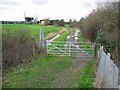 Looking SW from railway crossing to Blue Pigeons Farm