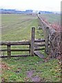 Stile and wall below Brandon Lane