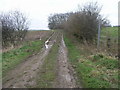 Muddy Bridleway