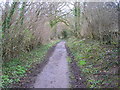 Hazelstrine Lane by Stafford Boat club