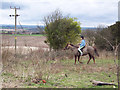 Rider on Stockbridge Down